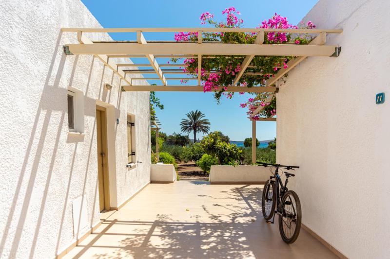 Appartement Glaros Kouremenos à Palekastro Extérieur photo