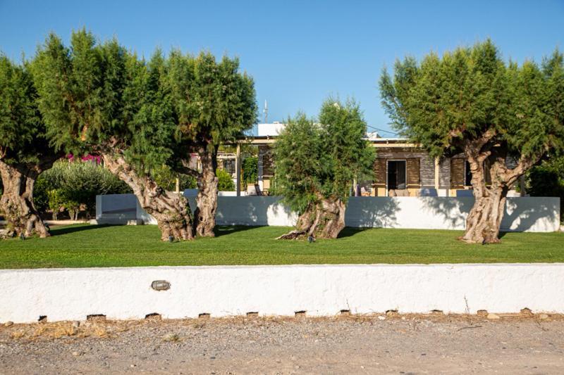 Appartement Glaros Kouremenos à Palekastro Extérieur photo